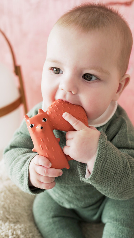 Прорезыватель Cyril Squirrel Fox