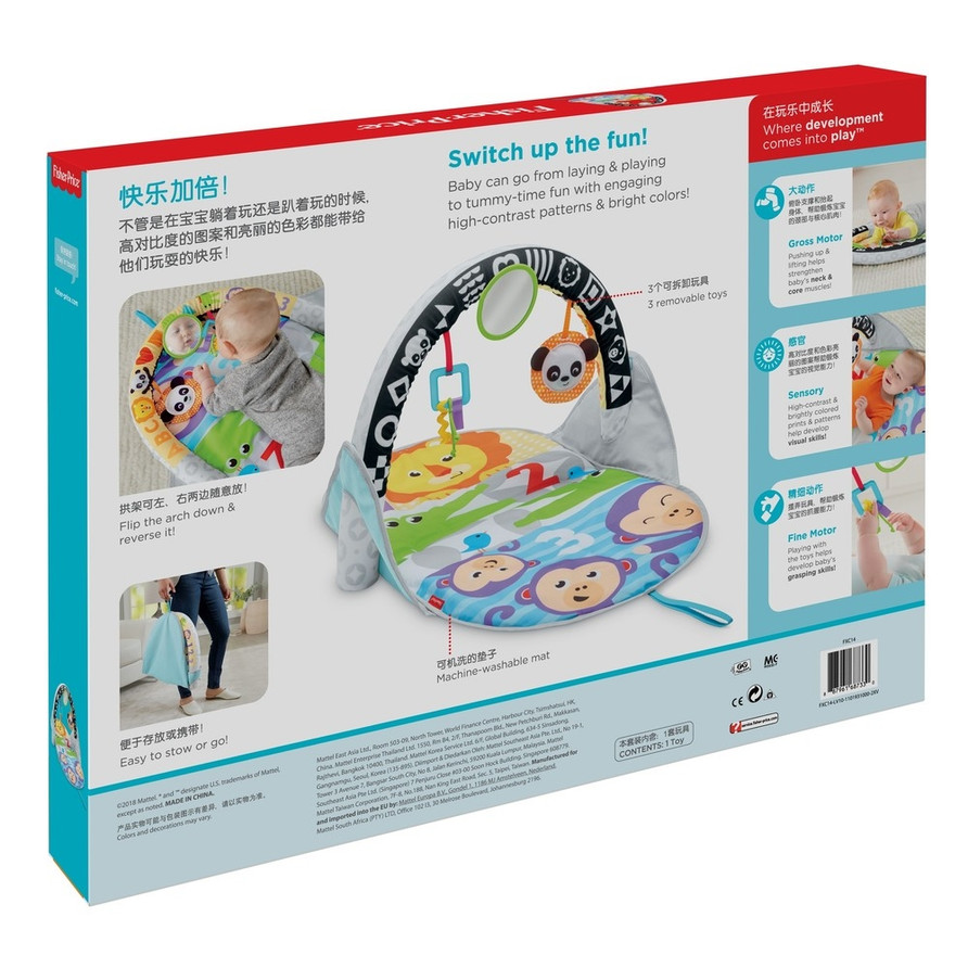 Fisher price 2 in 1 cheap